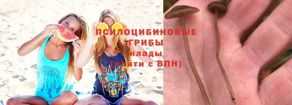 меф Армянск