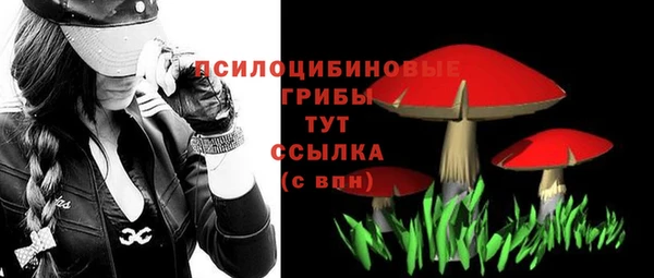 меф Армянск